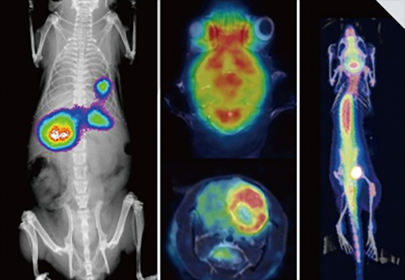 Small Animal Molecular Imaging Platform