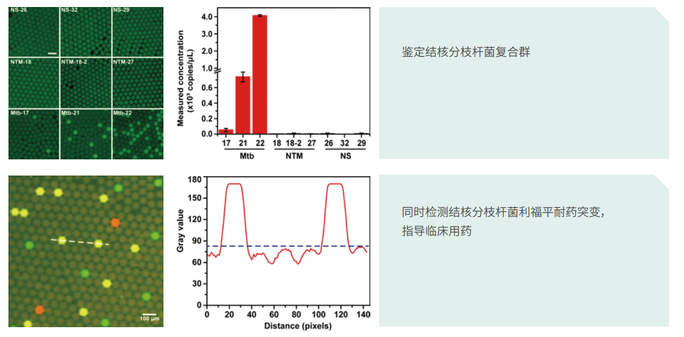 QQ截图20230306170914.png