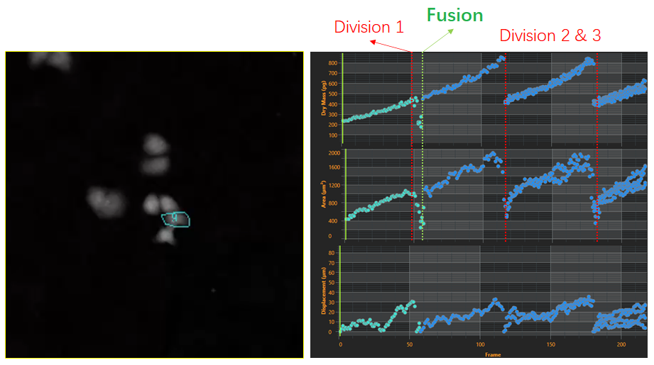 2、细胞谱系研究-2.png